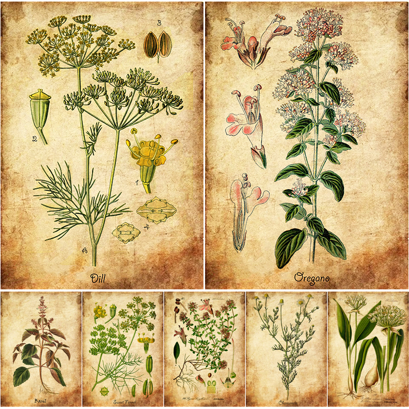 Herbal Wallpaper - Herb Flowers Retro Poster Vintage Herbal
